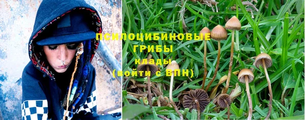 MDMA Вязьма