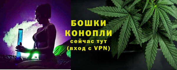 ALPHA-PVP Вяземский
