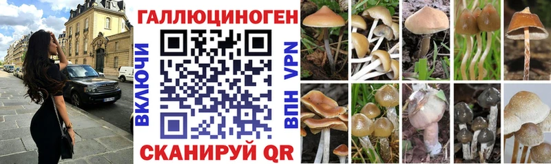 Галлюциногенные грибы прущие грибы  ОМГ ОМГ зеркало  Саранск 